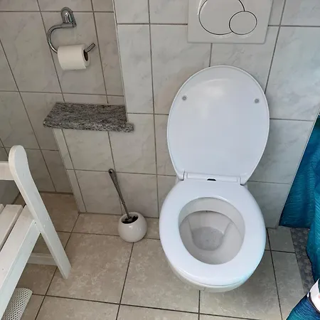 Medinas Eckle ديلينغن أن در دوناو